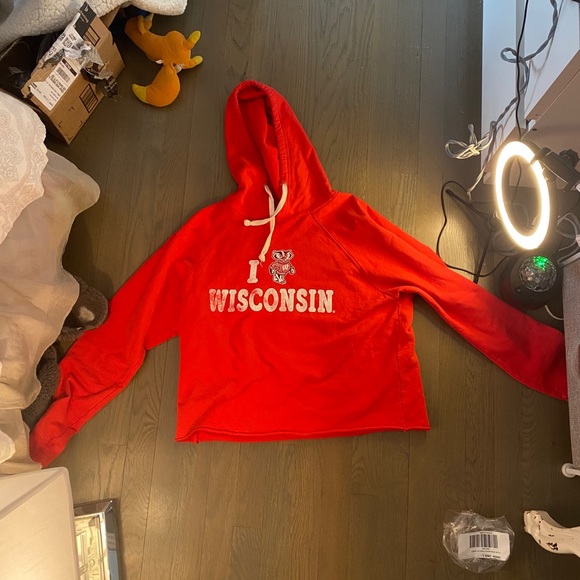 UNIVERSITY OF WISCONSIN RED HOODIE! - Picture 1 of 3
